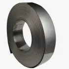 Лента прецизионная