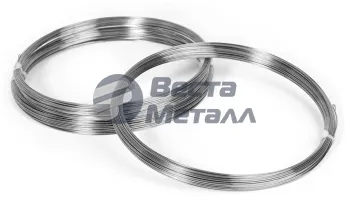 Проволока нержавеющая 2 EN 10270-3 1.4310